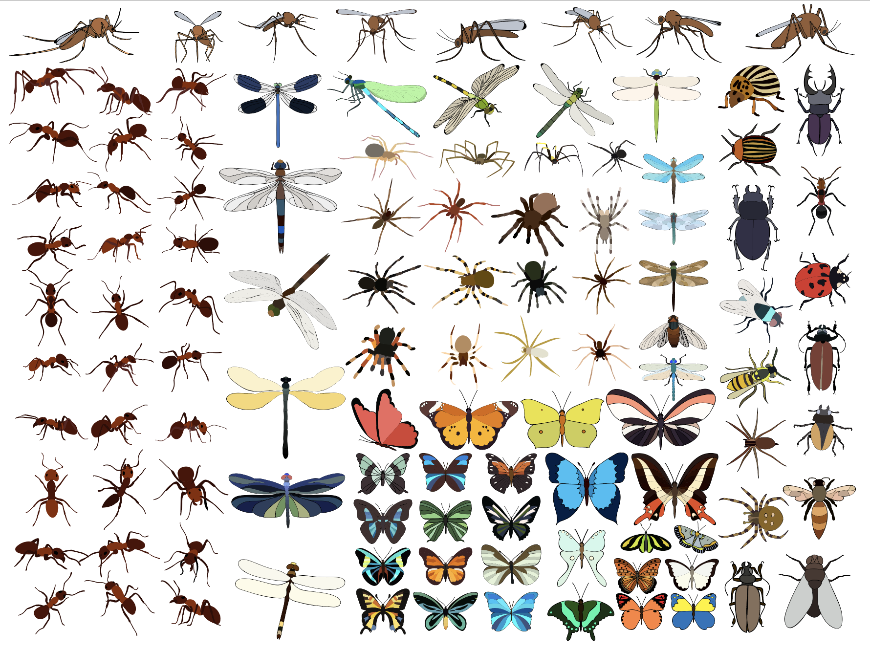 This is the original image where I found the bugs I desired to use, they were found on adobe stock image which I have learned to use often as it is well suited for the programs needs.